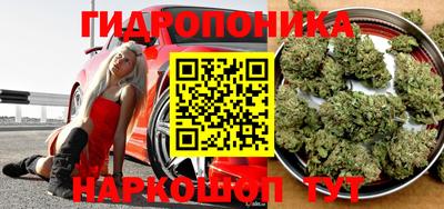 дмт Будённовск