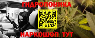 дмт Будённовск
