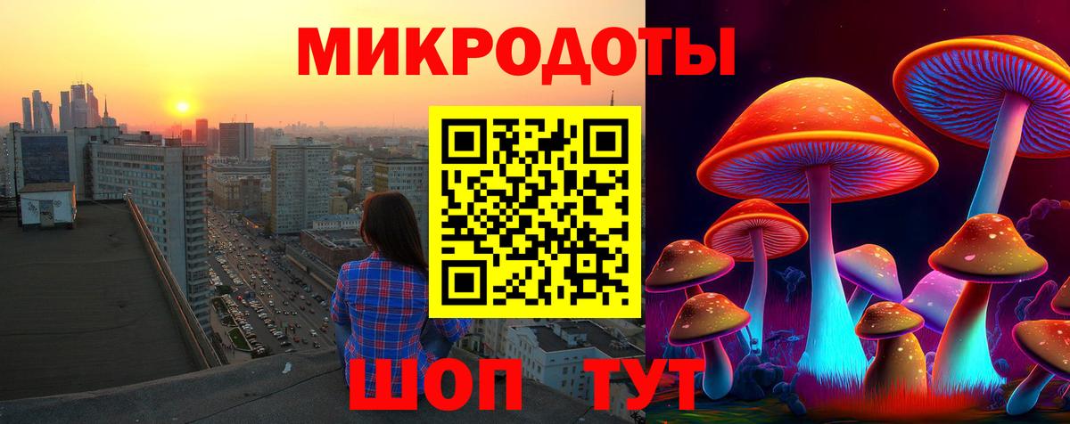 Псилоцибиновые грибы Psilocybine cubensis  цены   Сальск  Галлюциногенные грибы Psilocybe  Вход с VPN 
