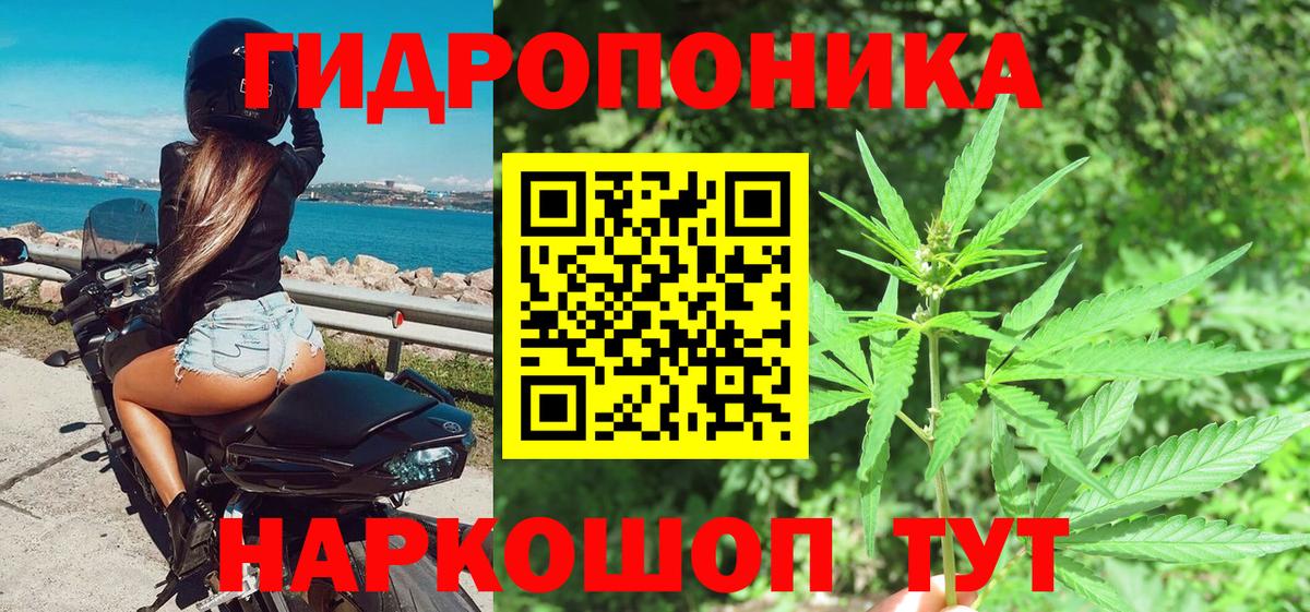 Конопля индика  Вход с VPN  МАРИХУАНА семена  Сальск  Конопля MAZAR  Бошки марихуана конопля 